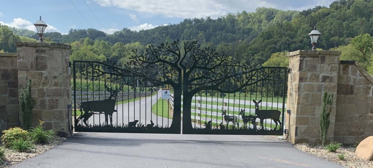 black gate against tress